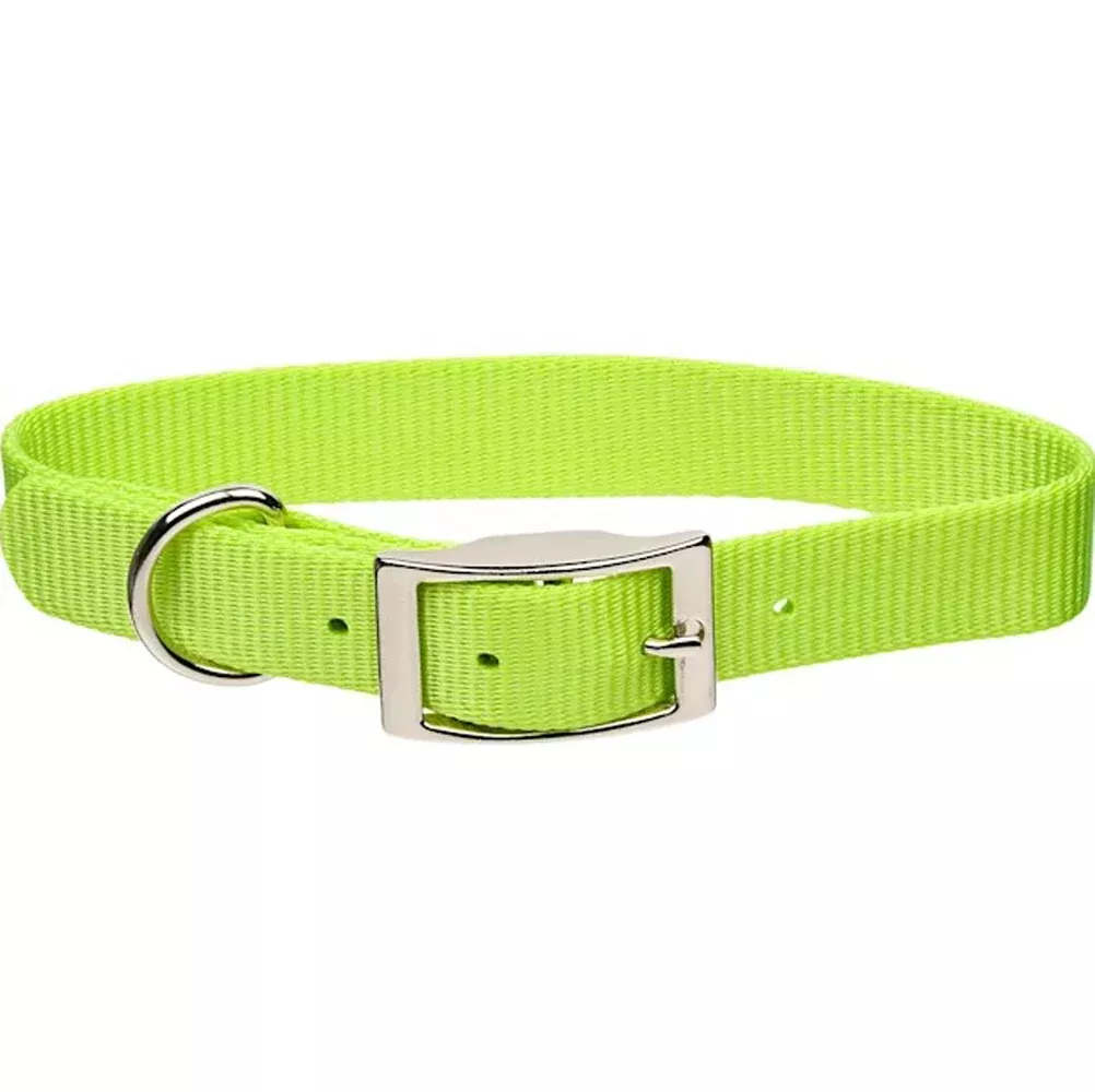Coastal Pet, Collar Lime, 1"