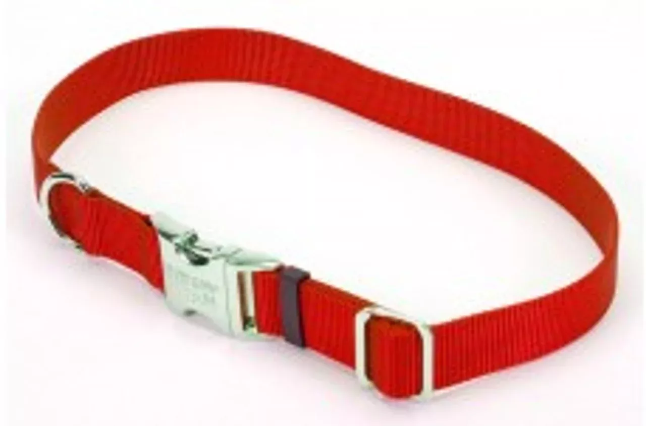 Coastal Pet, Titan Adjustable Collar, 1", Red