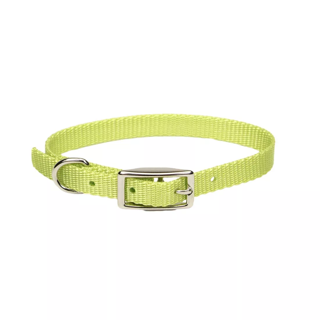 Coastal Single-Ply Dog Collar, Lime Green, 18 in.