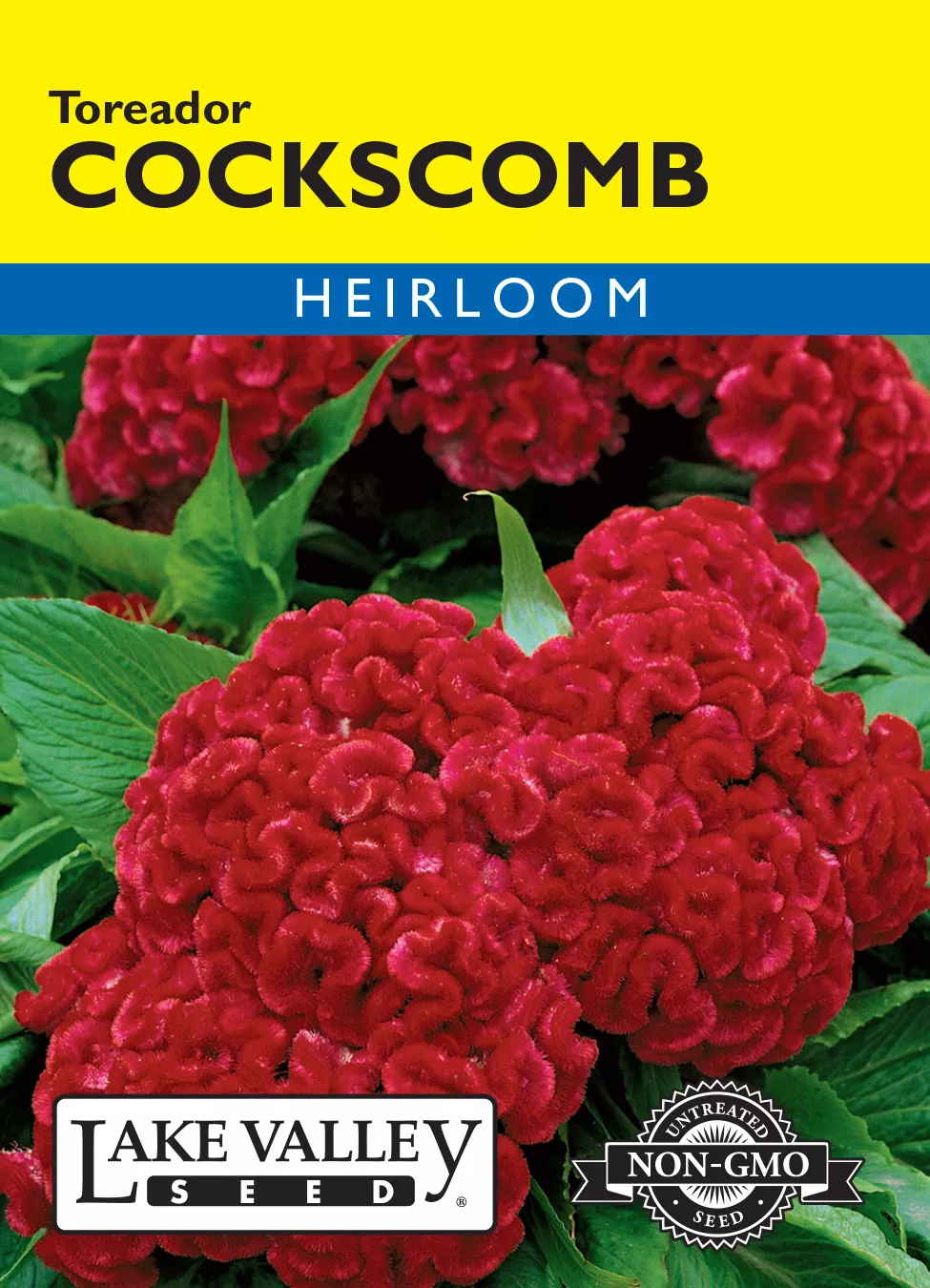 Cockscomb Toreador – Item #4622