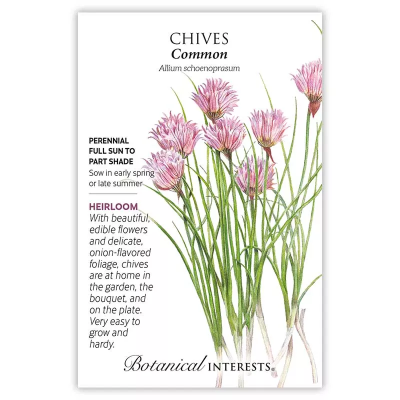 Common Chives Seeds