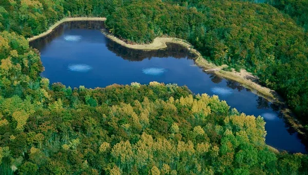 Complete Pond Aeration: Medium Pond & Lake Systems