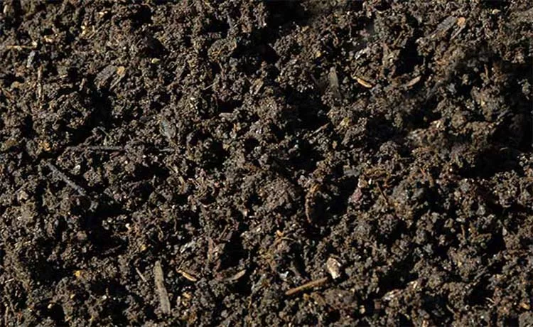 Compost