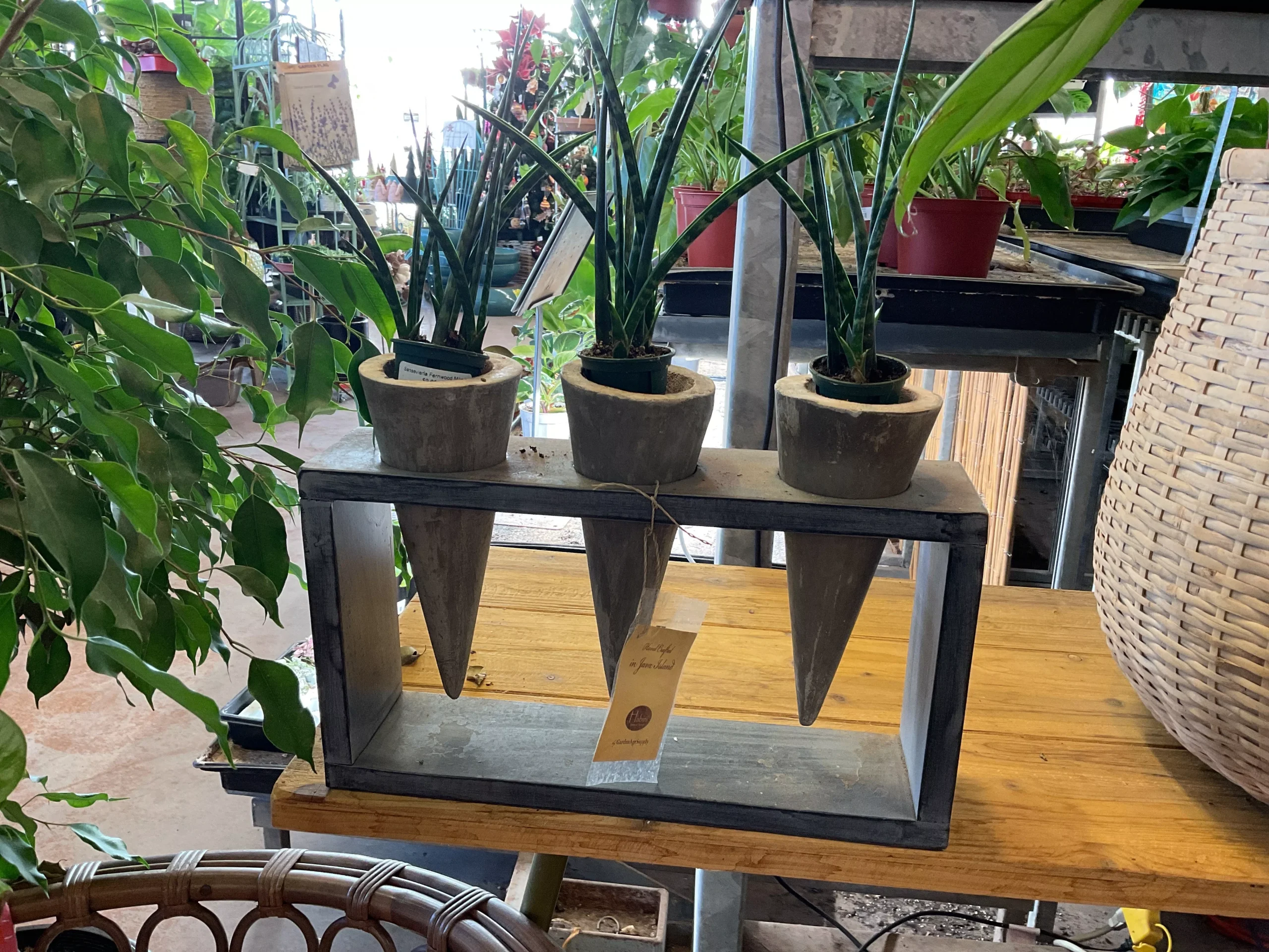 CONCRETE CONE SUCCULENT POT