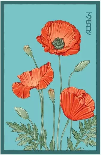 Corn Poppy Flower Seed Pkt