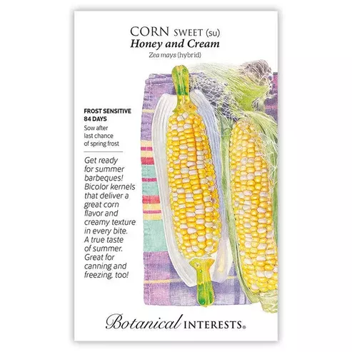 Corn 'Sweet Bicolor Honey Cream'