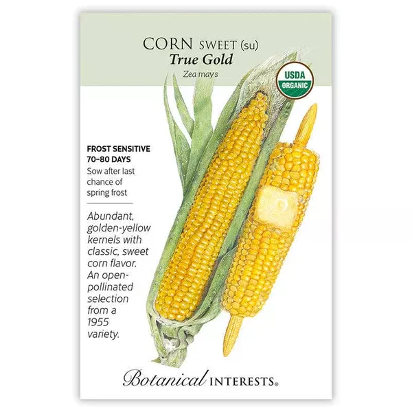 Corn Sweet seeds 'True Gold'