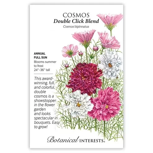 Cosmos 'Double Click Blend'