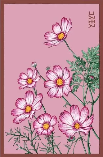 Cosmos Flower Seeds Pkt