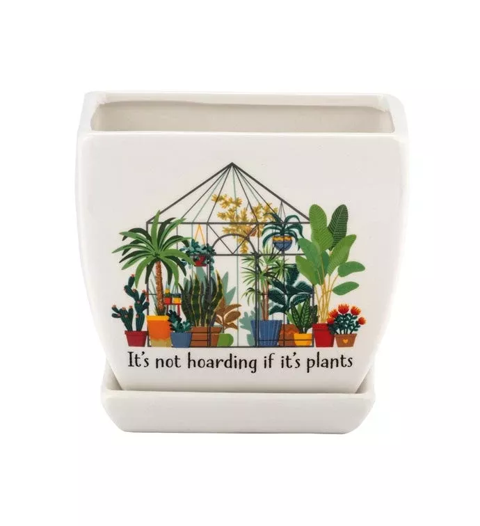 Crazy Plant Lady Pot With Saucer | Square | Napco