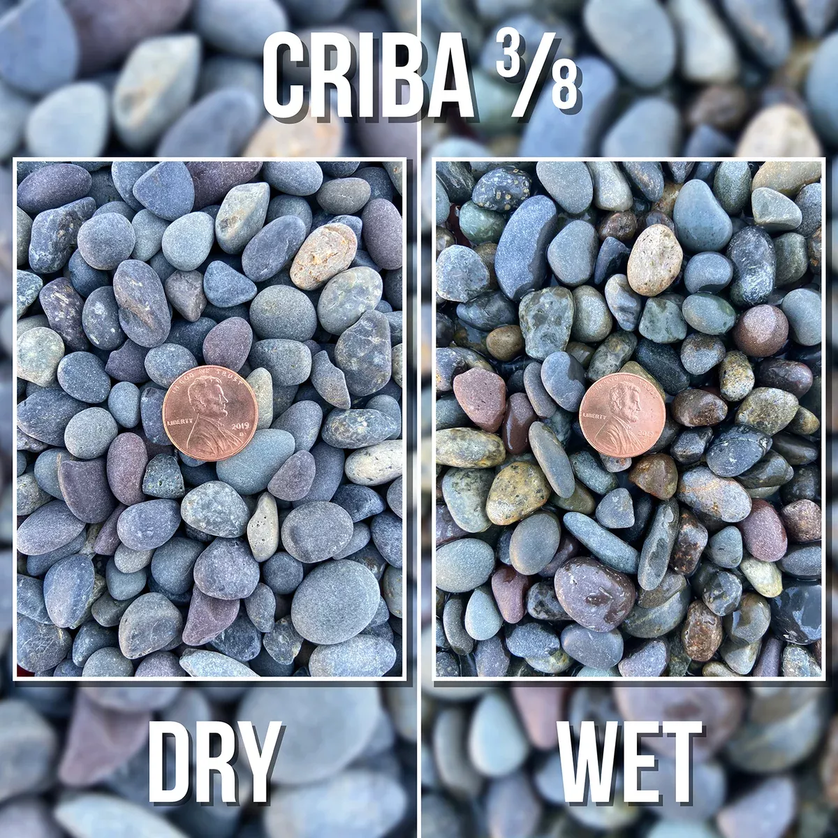 Criba Pebble - 3/8