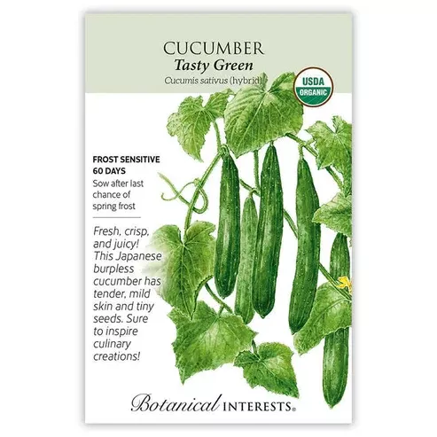 Cucumber 'Tasty Green'