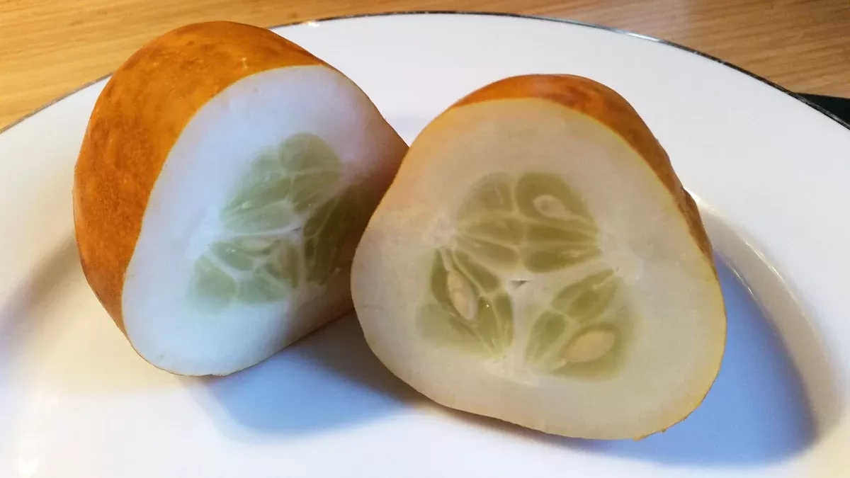 Cucumis sativus Seeds - Lemon Cucumber