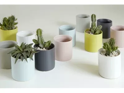 Cylinder Cache Pot Mixed Colors