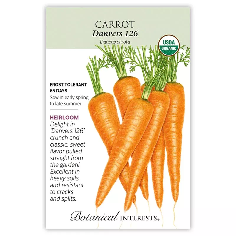 Danvers 126 Carrot Seed