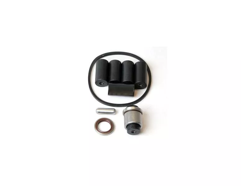 Delavan 6900 Series Roller Pump Repair Kit