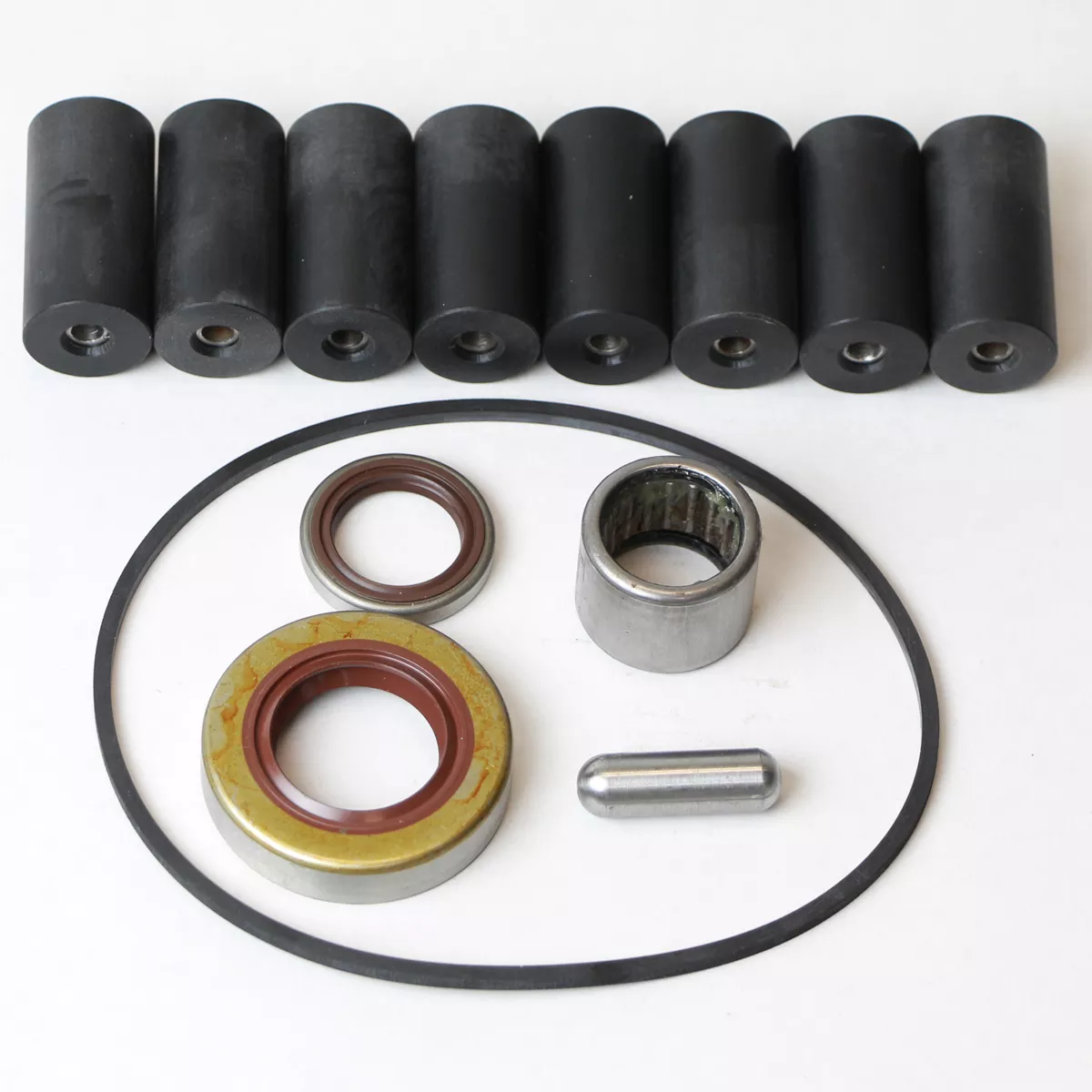 Delavan 8900 Series Roller Pump Repair Kit