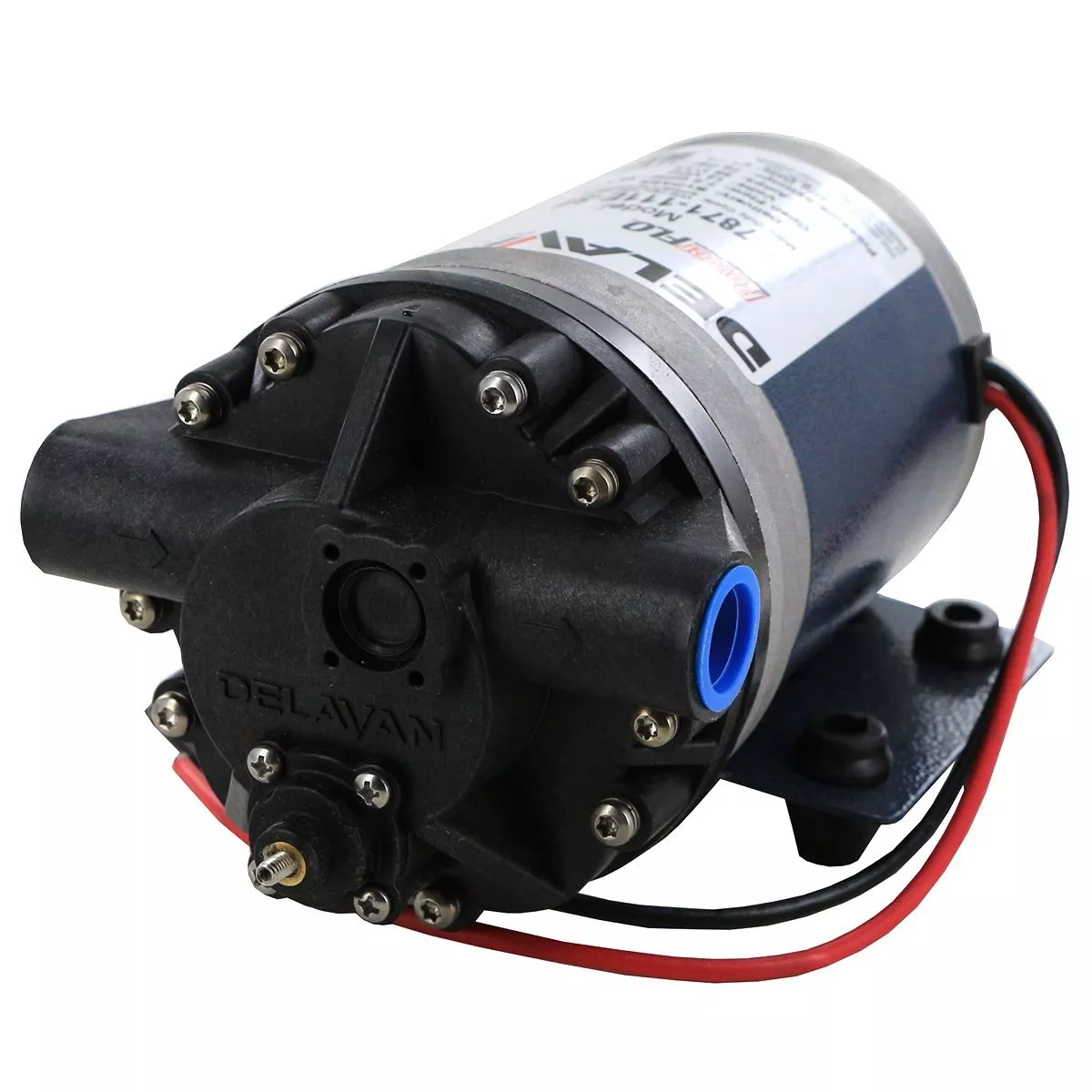 Delavan PowerFlo 12V FatBoy Series 3 Diaphragm Pump