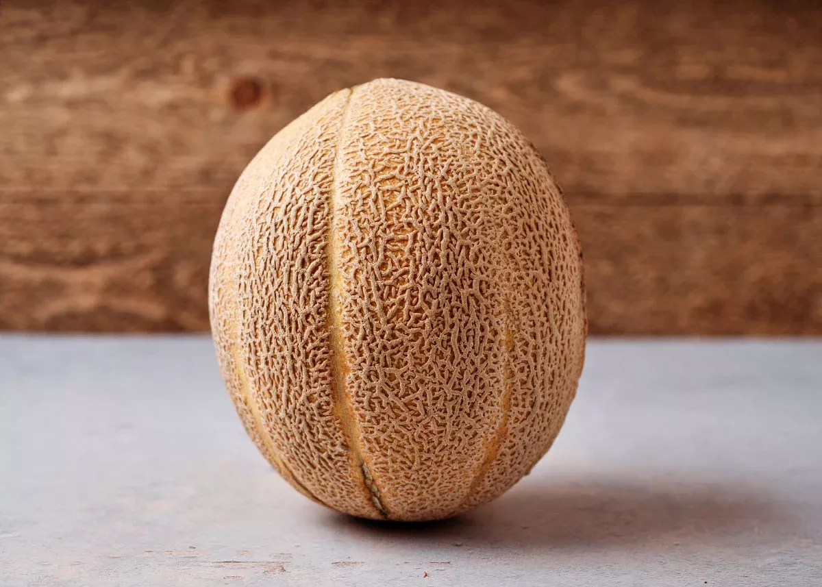 Delicious 51 - Melon Seeds