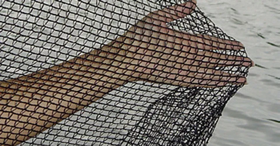 Deluxe Pond Netting by Blue Thumb