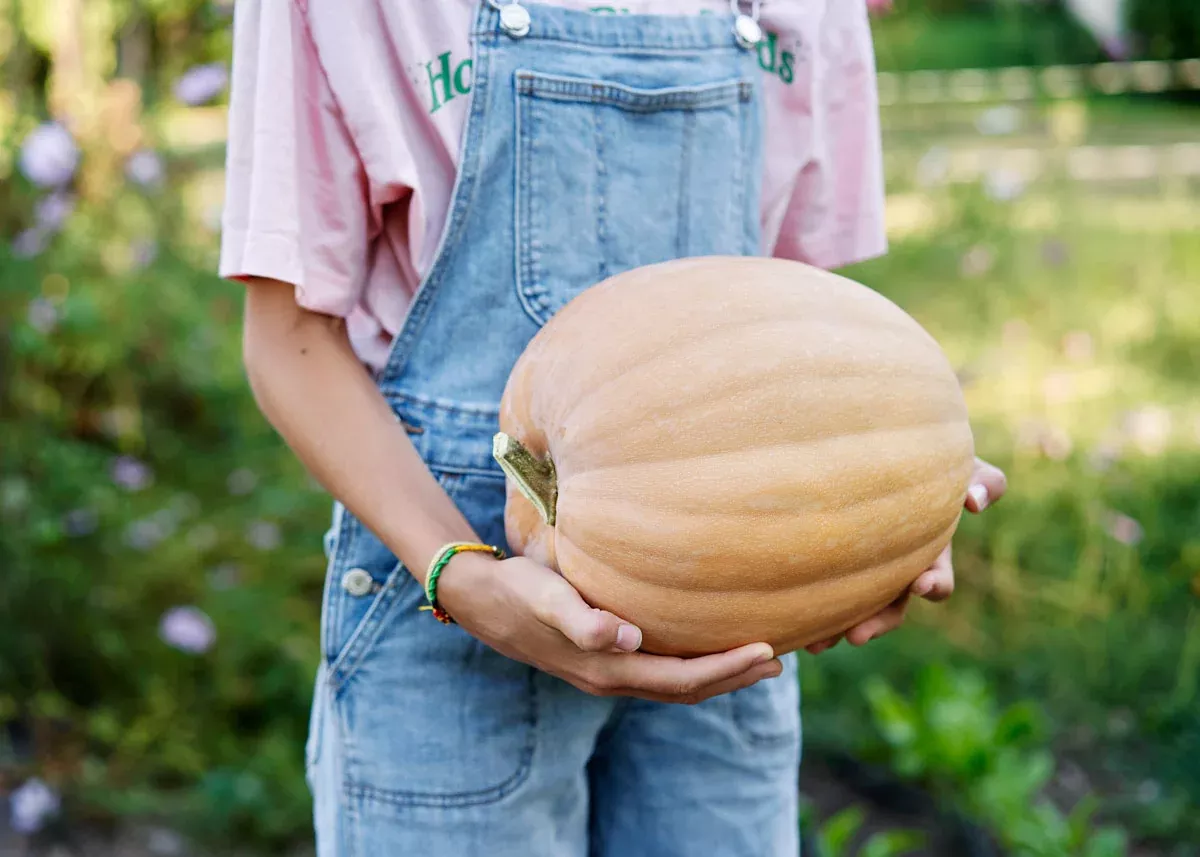 Dickinson - Pumpkin Seeds