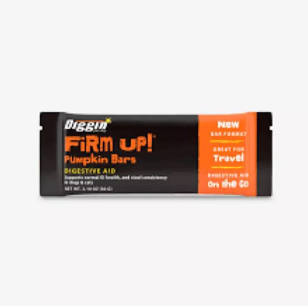 Diggin, Pumpkin Bar Digestive Aid, Single