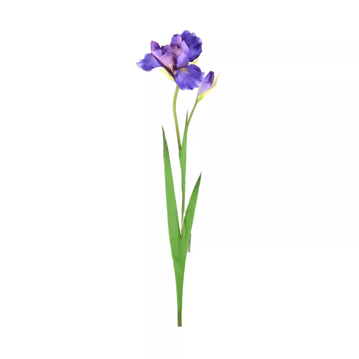 Direct Export Company Dutch Iris Stem, Floral Stem, Lavender, 28"
