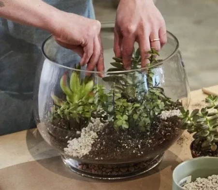 Discovery Terrarium