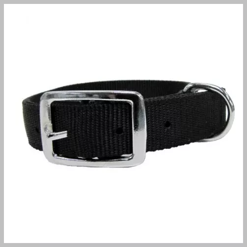 Dog Collar 5/8" Nylon 15"