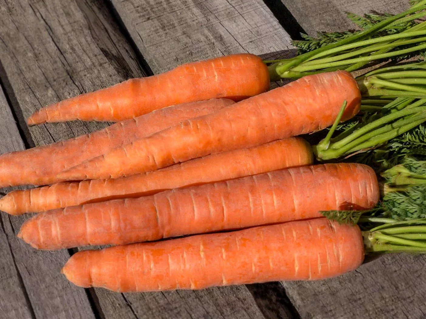 Dolciva Organic Carrot Seeds