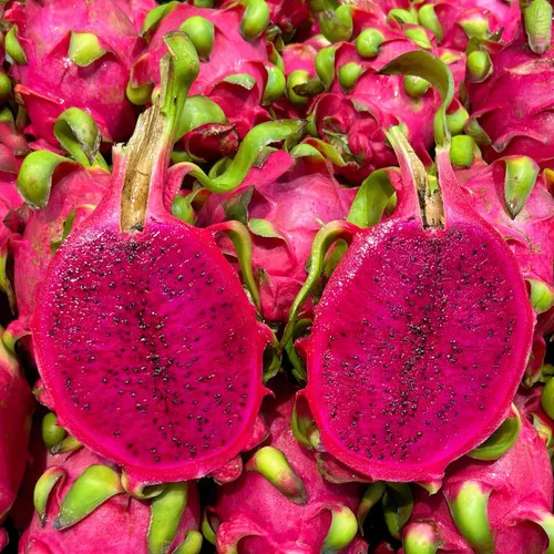 Dragon Fruit Seeds (Hylocereus undatus) Fast-Growing Tropical Fruit Cactus