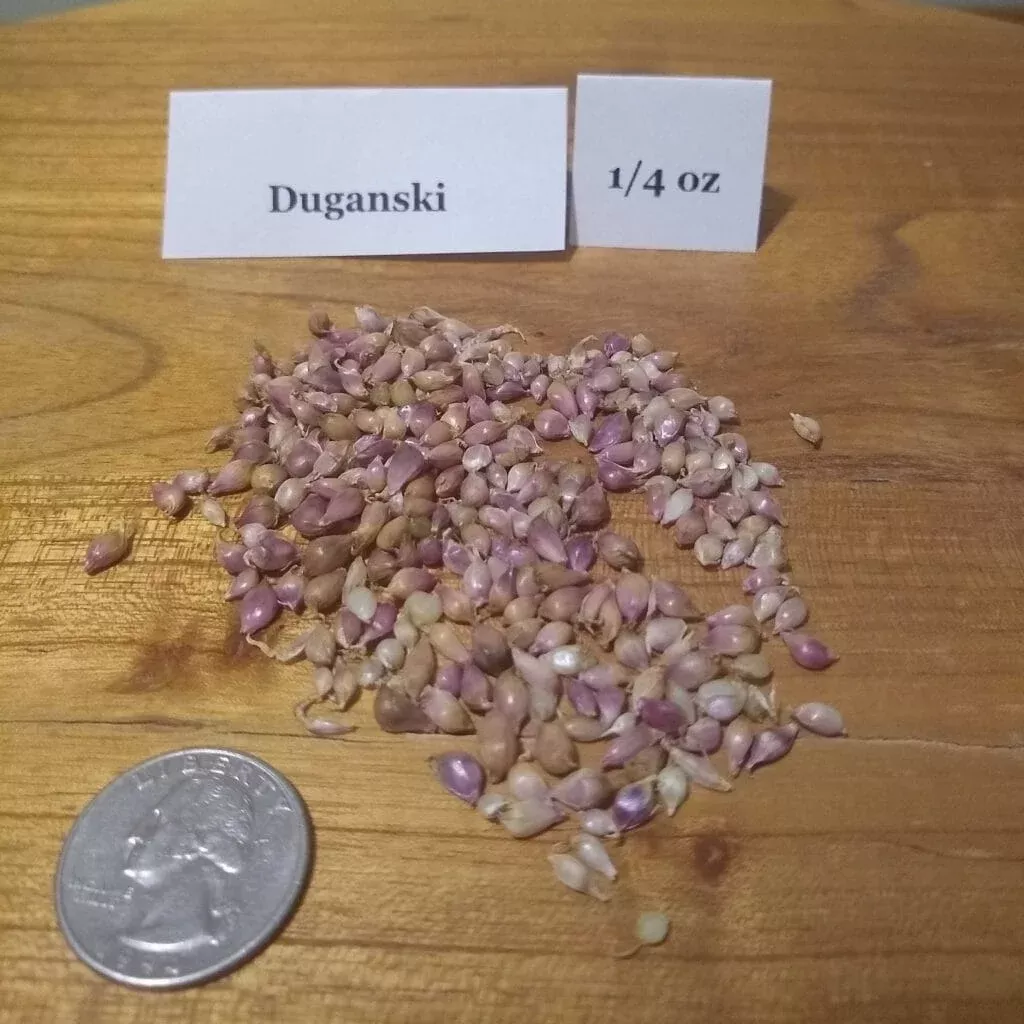 Duganski