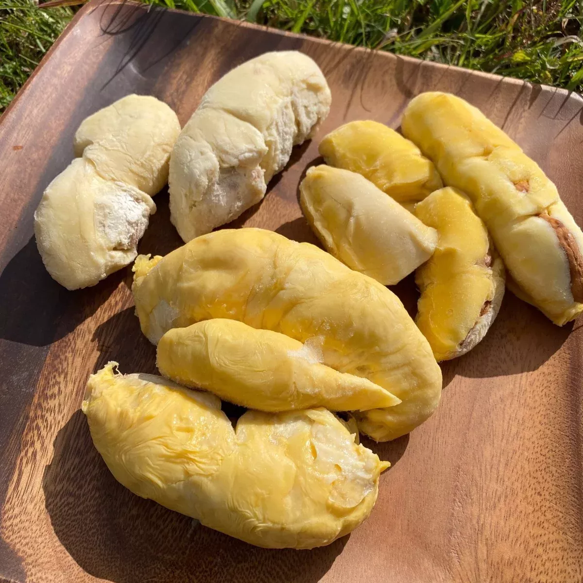 Durian Variety Pack - 3 Trays (Musang King, D101, & Puyat) *Pre-Order*