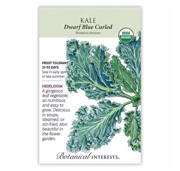 Dwarf Blue Curled Kale Seeds