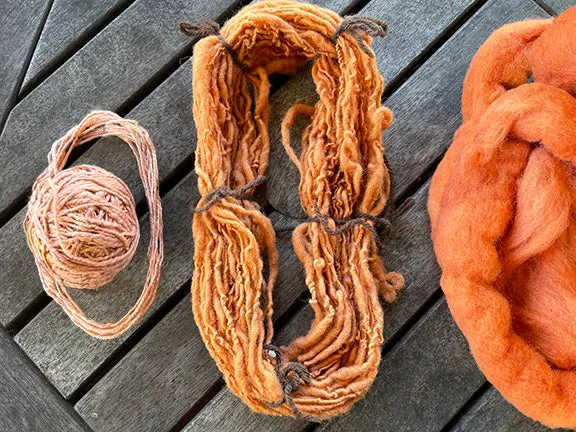 Dyer's Madder Seeds