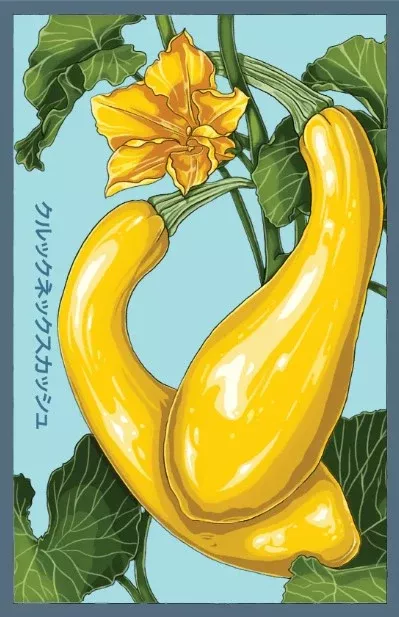 Early Golden Crookneck Squash