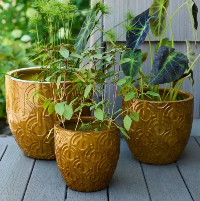Eco-Stone Planters, Mustard Color