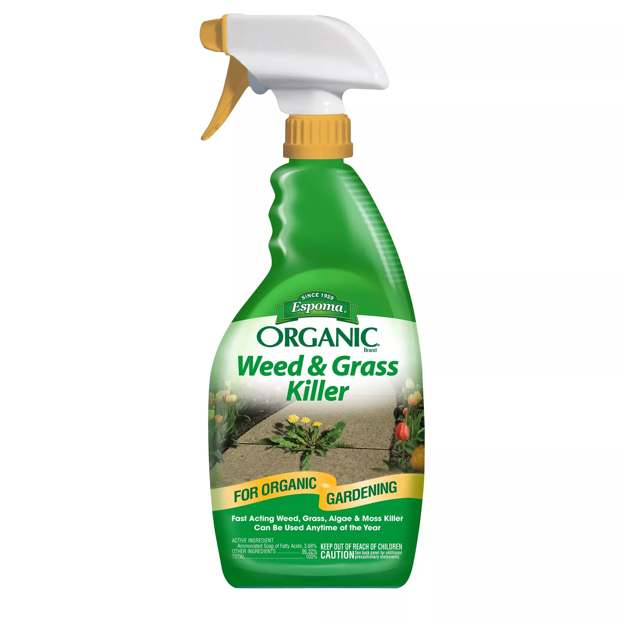 Espoma Weed Killer BFG