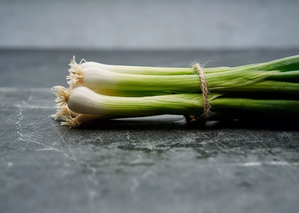 Evergreen Bunching - Onion Seeds