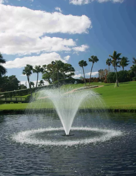 Evolution Series 1/2 Hp Fountain