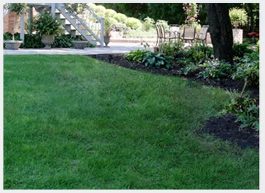 ExecuTurf Grass Seed Shade Mix 1#