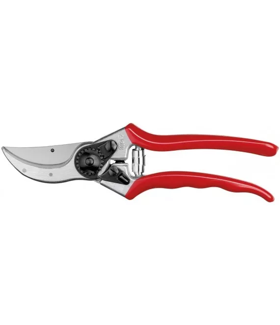 Felco Pruners / Secateurs