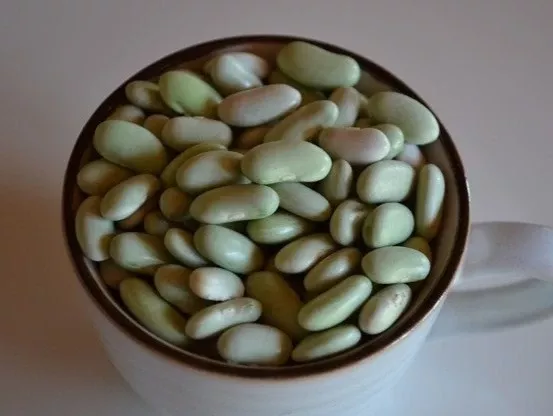 Flageolet Merveille Bean