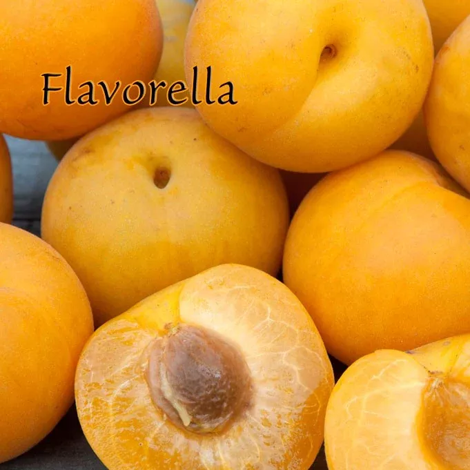 Flavorella Plumcot