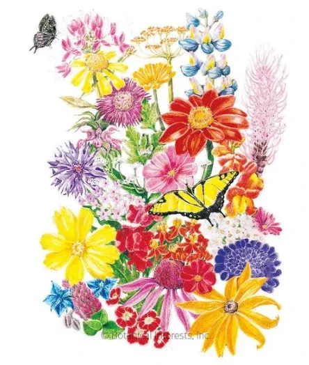 Flower Mix Bring Home the Butterflies