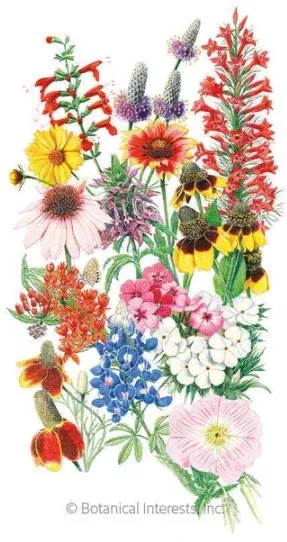 Flower Mix Southern Hills and Plains