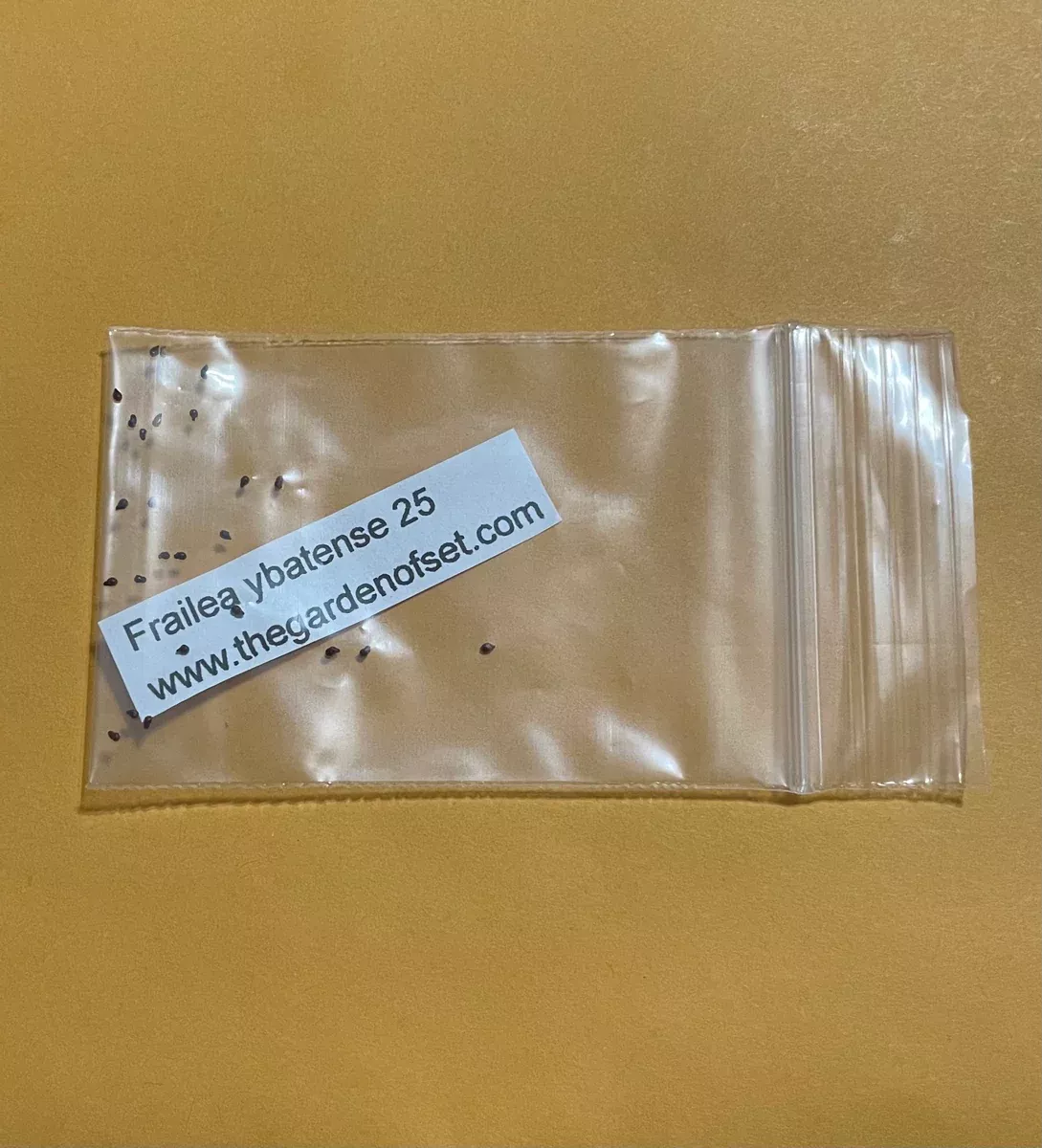 Frailea ybatense 25 Seeds