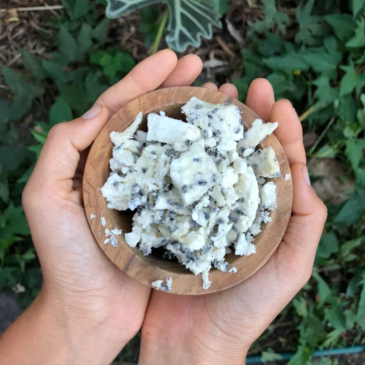 Freeze Dried Yellow Dragonfruit (Pitaya)