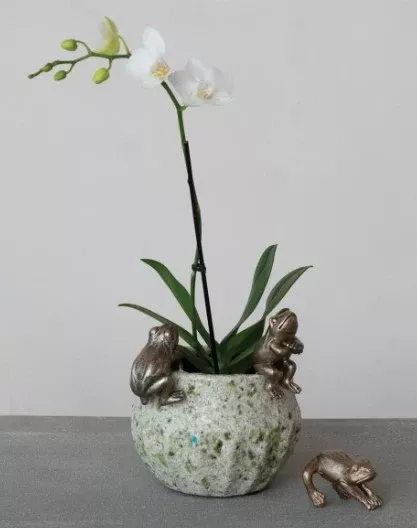 Frog Pot Hanger
