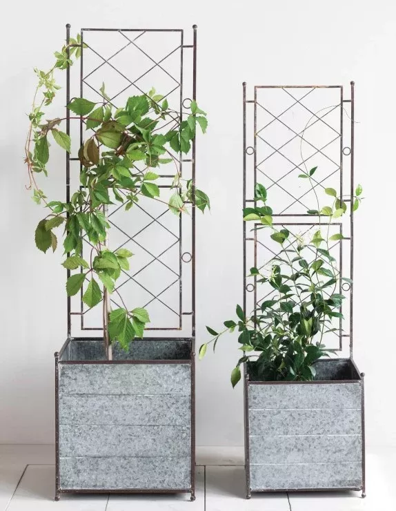 Galvanized Metal Planters with Trellis